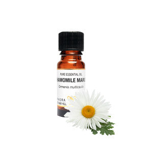 Chamomile (Maroc)  Pure Essential Oil  (10ml)