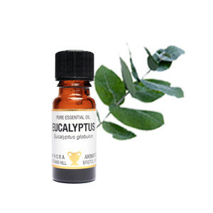 Eucalyptus Pure Essential Oil