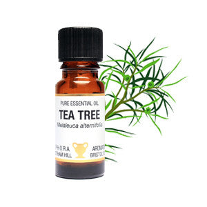 Tea Tree  Pure essential oil  10ml