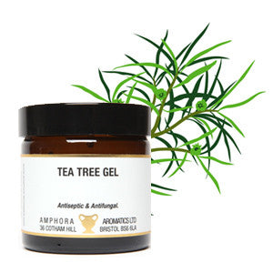Tea Tree Gel  (60ml Jar)