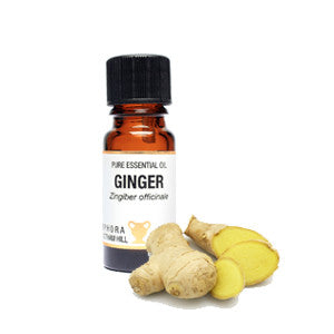 Ginger Pure Essential Oil